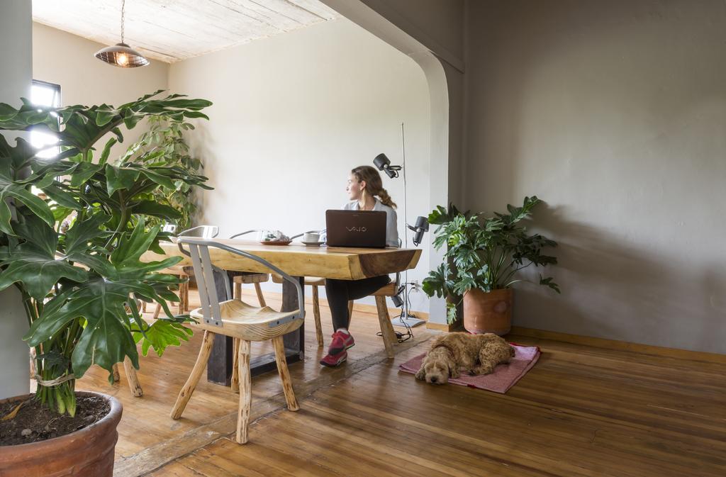 Chaya B&B Boutique Mexico by Eksteriør bilde