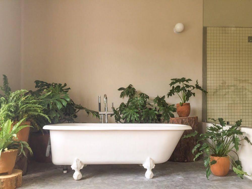 Chaya B&B Boutique Mexico by Eksteriør bilde